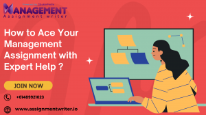 How to Ace Your Management Assignment with Expert Help ?