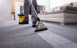 Commercial Carpet Cleaning Service Types You Should Know 