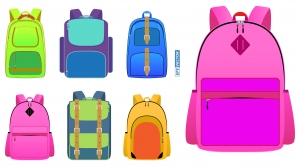 Choose The Best Bags for Laptop: Your Need & Style For Office And Home