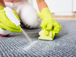 Best Carpet Stain Removers – Help in Maintaining Original Look of Your Carpet