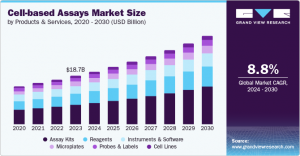 Cell-based Assays Market Insights: Competitive Landscape and Major Industry Players