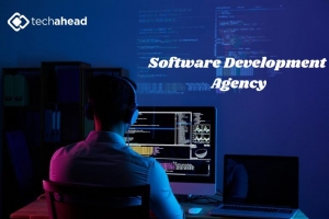 Choosing the Right Partner: A Guide to Finding a Reliable Software Development Agency