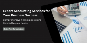 What is Accounting and Professional Services?