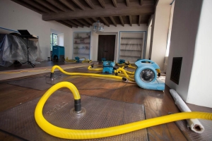 What Are the Signs That You Need Water Damage Restoration?