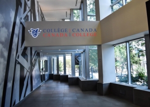 Why Canadian College is Ideal for Your International Studies