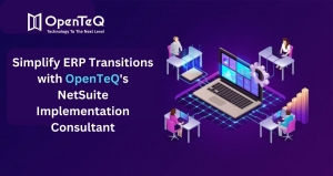 Simplify ERP Transitions with OpenTeQ's NetSuite Implementation Consultant