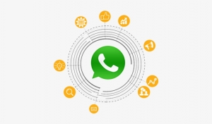 How Does WhatsApp Assist in Converting Sports Fans into Paying Customers?