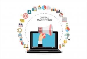 Digital Marketing Consultant in Noida: Elevating Your Online Presence