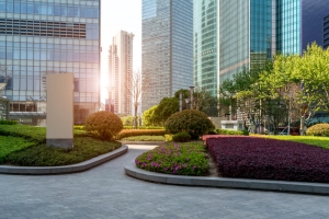 What is Softscape Landscaping Design Compnay Riyadh  and Why