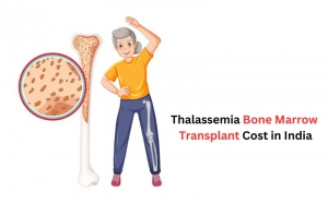 Bone Marrow Transplant for Thalassemia: Costs, Process, and Expert Insights