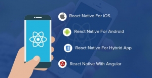 How to Hire the Best React Native Developers for Your Next Project