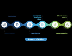 Step-by-Step Process for Implementing CAPA in Your ISO System