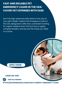 Fast and Reliable Pet Emergency Loans in the USA: Cover Vet Expenses with Ease