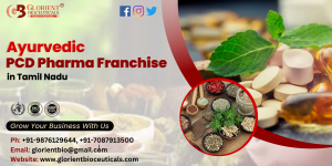 Ayurvedic PCD Pharma Franchise in Tamil Nadu: That is why the business opportunity outlined above will be rather lucrative for the company.