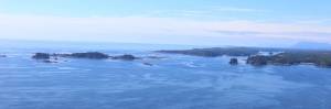 Ucluelet Escapes: Where to Find the Coziest Vacation Rentals on the Coast