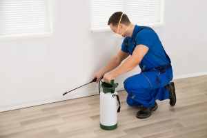 Affordable and Professional Home Cleaning Services for Your Space