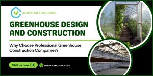 Building the Perfect Greenhouse: A Guide to Greenhouse Design and Construction