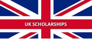 The Role of UK Scholarships in Making Education Affordable for Indian Students