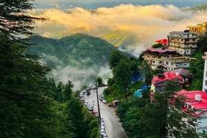 Discover the Charm of Homestays in Shimla: A Home Away from Home