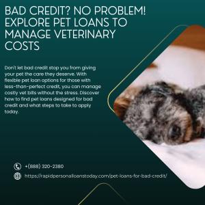 Bad Credit? No Problem! Explore Pet Loans to Manage Veterinary Costs