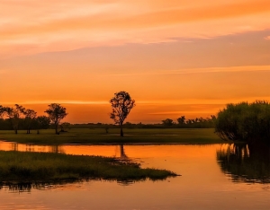 Kakadu National Park - the Wild Adventure Holiday You Didn't Expect!