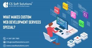 What Makes Custom Web Development Services Special?