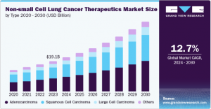 Non-small Cell Lung Cancer Therapeutics Market Developments: Latest Advances in Drug Delivery