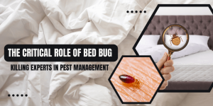 The Critical Role of Bed Bug-Killing Experts in Pest Management
