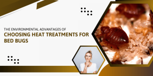 The Environmental Advantages of Choosing Heat Treatments for Bed Bugs