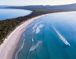 The Natural Wonders of Maria Island: A Scenic Cruise Adventure