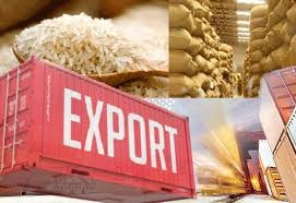 Why AgroBazzar is the Preferred Platform for Rice Exporters Worldwide