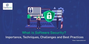 What is Software Security? Importance, Techniques, Challenges and Best Practices