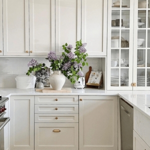 Ikea Kitchen Cabinets Canada: Affordable Solutions For Modern Homes