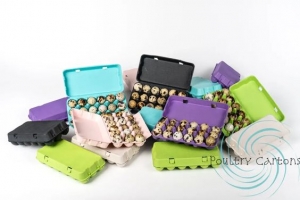 Egg Cartons That Care for Your Eggs and the Planet – Poultry Cartons