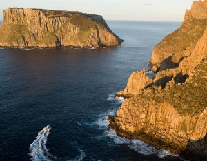 Discovering Tasman Island: A Cruise Through Sea Caves, Wildlife, and History