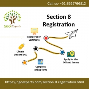 Section 8 Company Registration Online: A Comprehensive Guide by NGO Expert