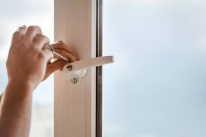 Window Locks Services