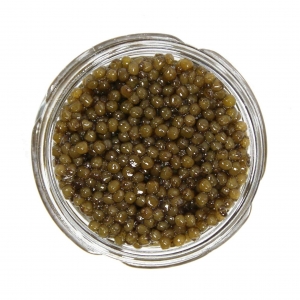 Buy Osetra Caviar Online for a Luxurious Culinary Experience