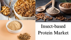 Insect-based Protein Market Size, Share, Growth Forecast Through 2029
