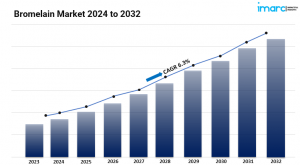 Bromelain Market 2024-2032: Share, Outlook, Demand, Scope and Growth Opportunities