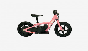 The Future of Fun: Exploring Broc Electric Bikes for Kids