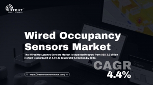 Wired Occupancy Sensors Market: Exploring New Opportunities in Emerging Markets