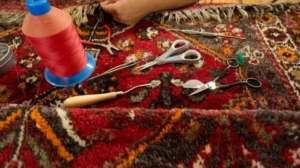 Extend the Life of Your Carpet: Restoration Methods That Work