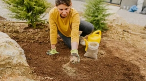 Essential Guide: How to Watering New Grass Seed?