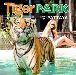 Tiger Park Pattaya