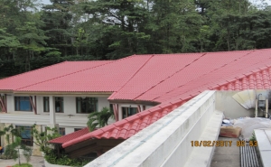 Why Is It Essential To Get A Professional Roofing Contractor in Singapore?