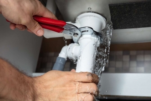 Plumbing Services in Miami: Why D&D Plumbing Services is Your Best Bet