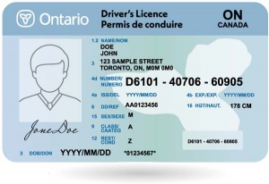 Canada Driver's License for Sale: A Reliable Source - Globcoffs