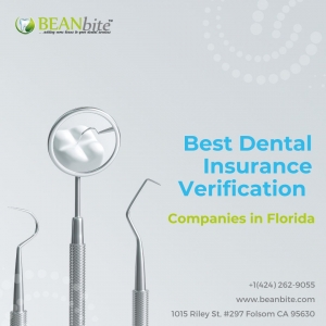 Best Dental Insurance Verification Companies in Florida