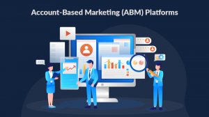 The Rise of Account-Based Marketing (ABM) Platforms in the USA: Transforming B2B Marketing